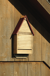 Natural Cypress/Red Roof A