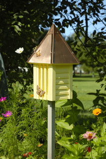 Yellow with Solid Copper Roof