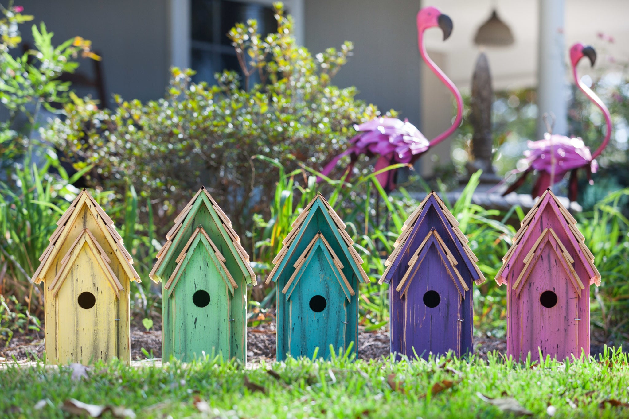 Heartwood Bluebird Brights Birdhouse