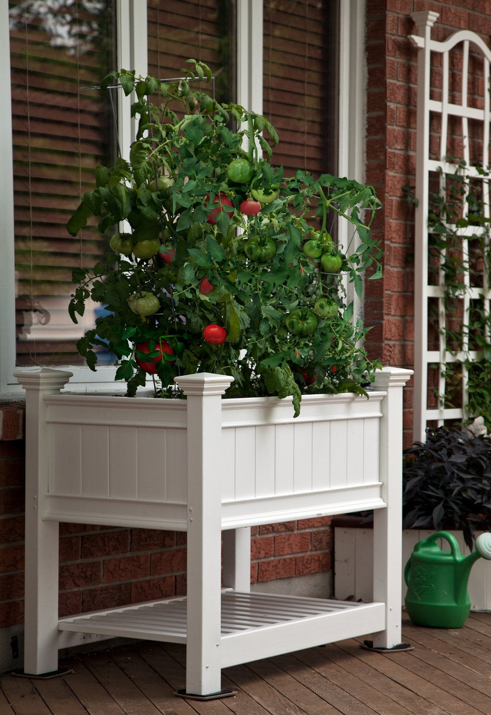 Vita Classic 24"x36" Cambridge Vinyl Raised Planter