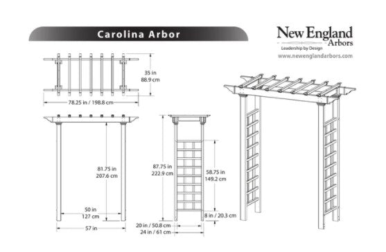 Vita Carolina Arbor