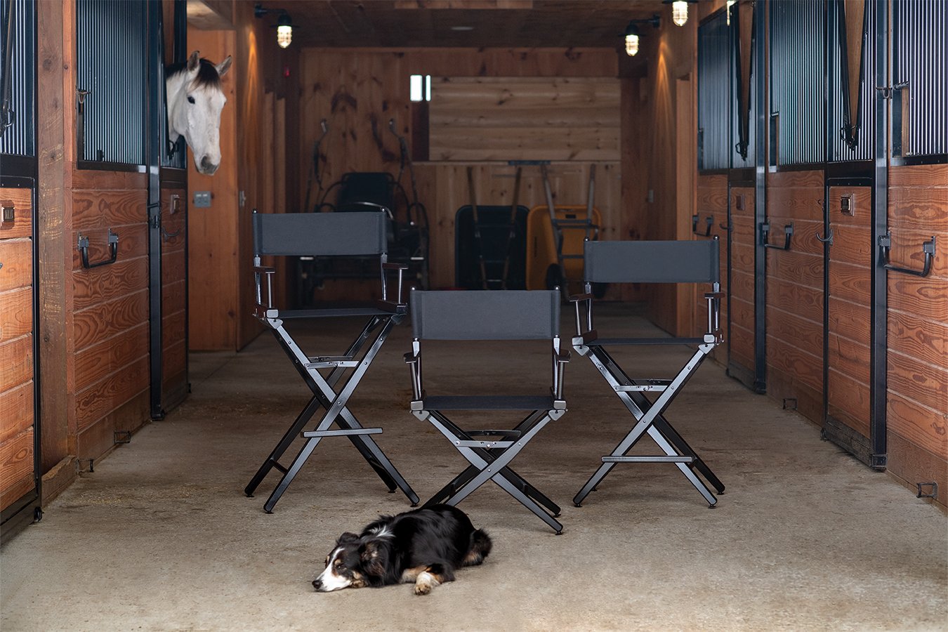 Telescope Casual Director's Chair - Dining Armchair