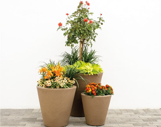 Dot Planter 16" Diameter