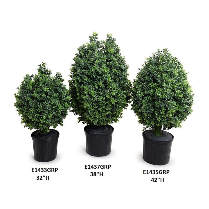 Enduraleaf 42 Inch Boxwood Shrub