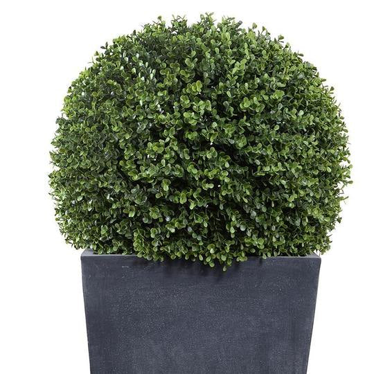 Enduraleaf Boxwood Ball in Tapered Pot