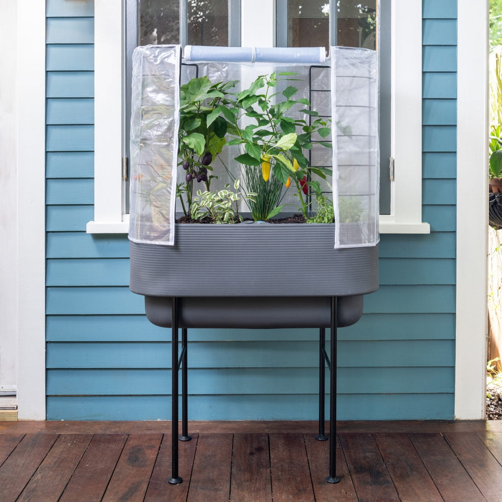 Nest Planter Clear Greenhouse Cover