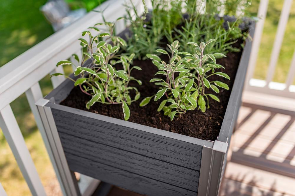 Vita Urbana 22"x35" Espresso Herb Farm