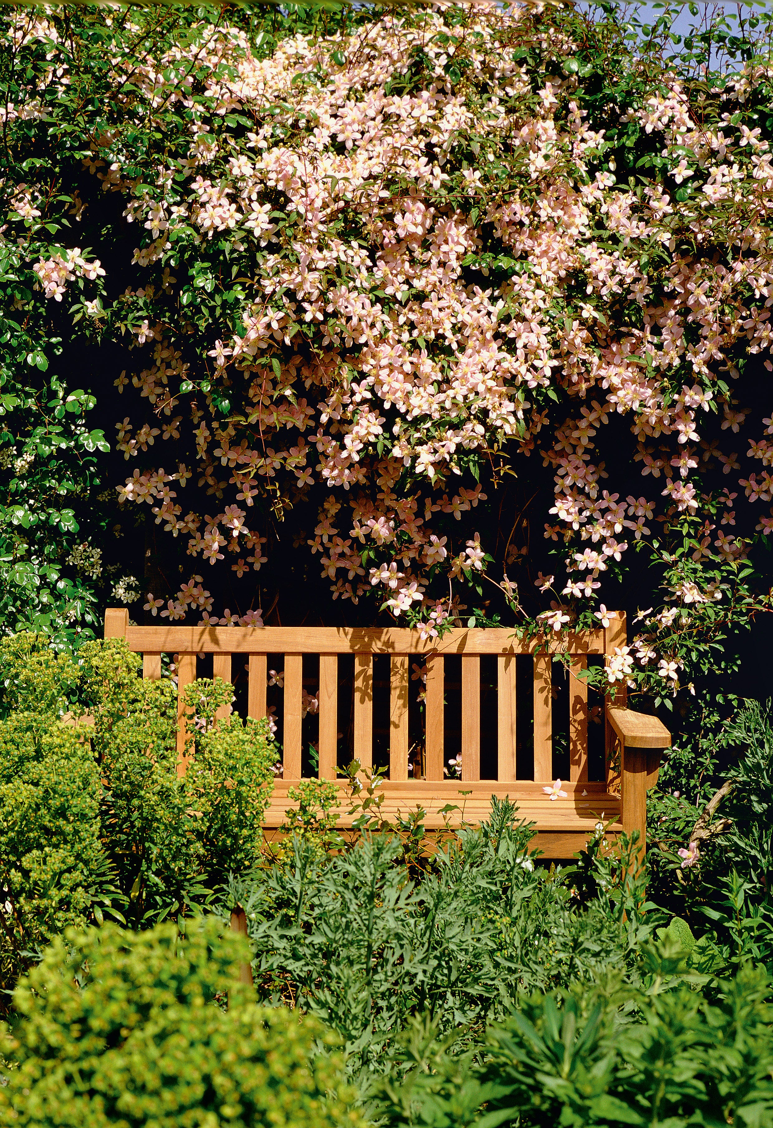 Barlow Tyrie London Teak 5' Bench