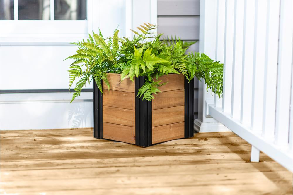 Vita Mezza 12" Cedar Cube Planter