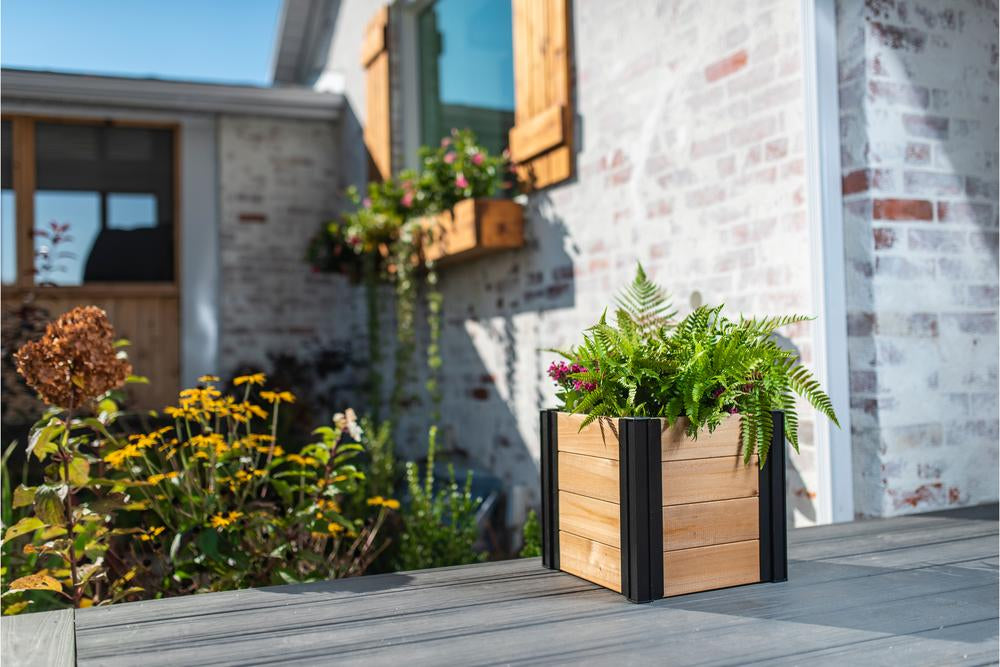 Vita Mezza 12" Cedar Cube Planter