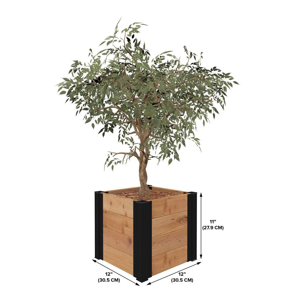 Vita Mezza 12" Cedar Cube Planter