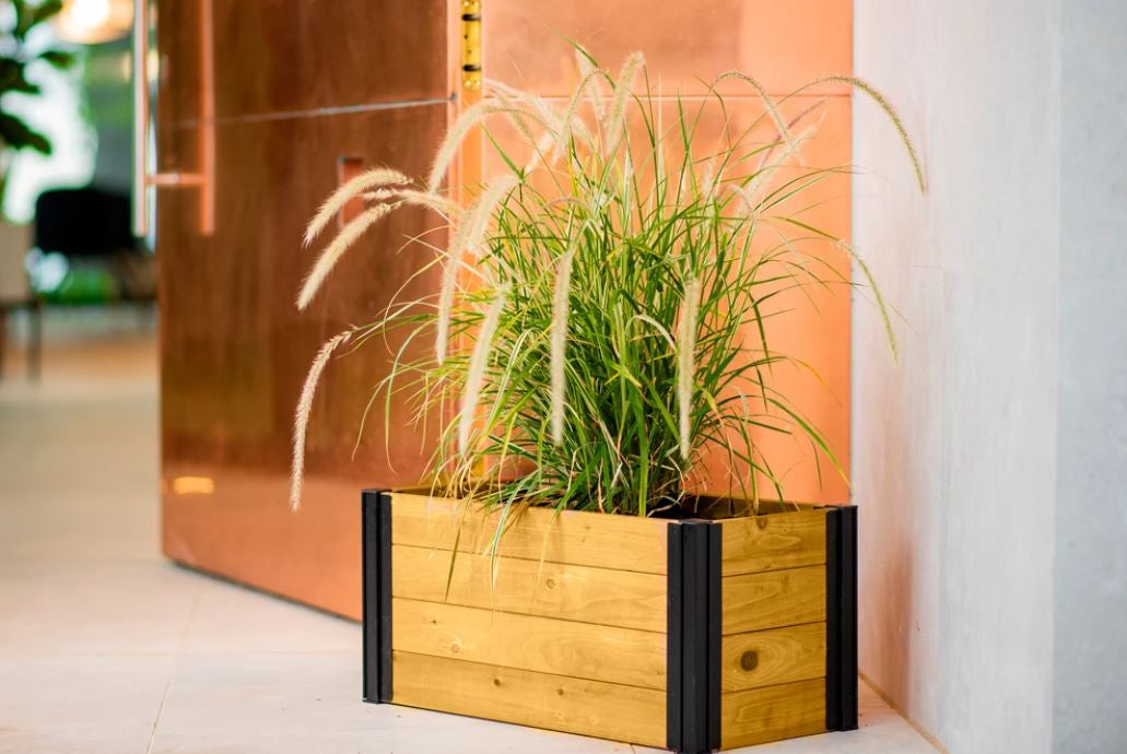 Vita Mezza 12"x24" Cedar Planter