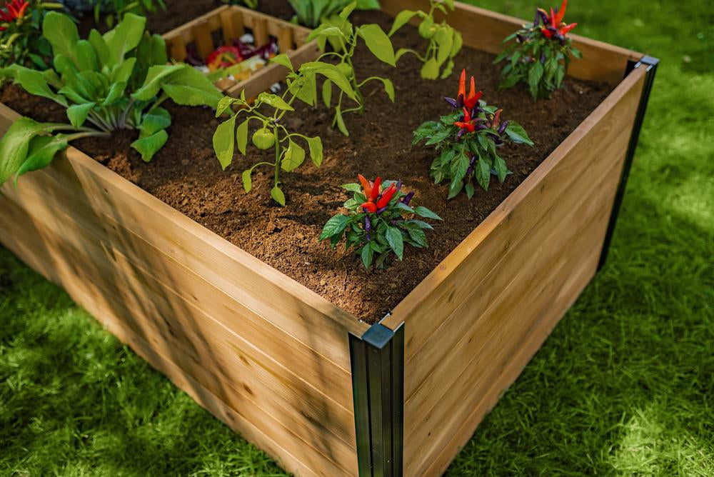 Vita Mezza 3'x5' Cedar Keyhole Composting Garden Bed