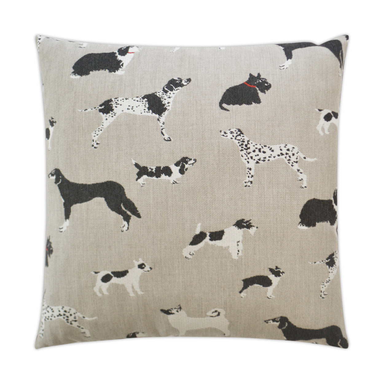 Fetch Outdoor Pillow 22x22