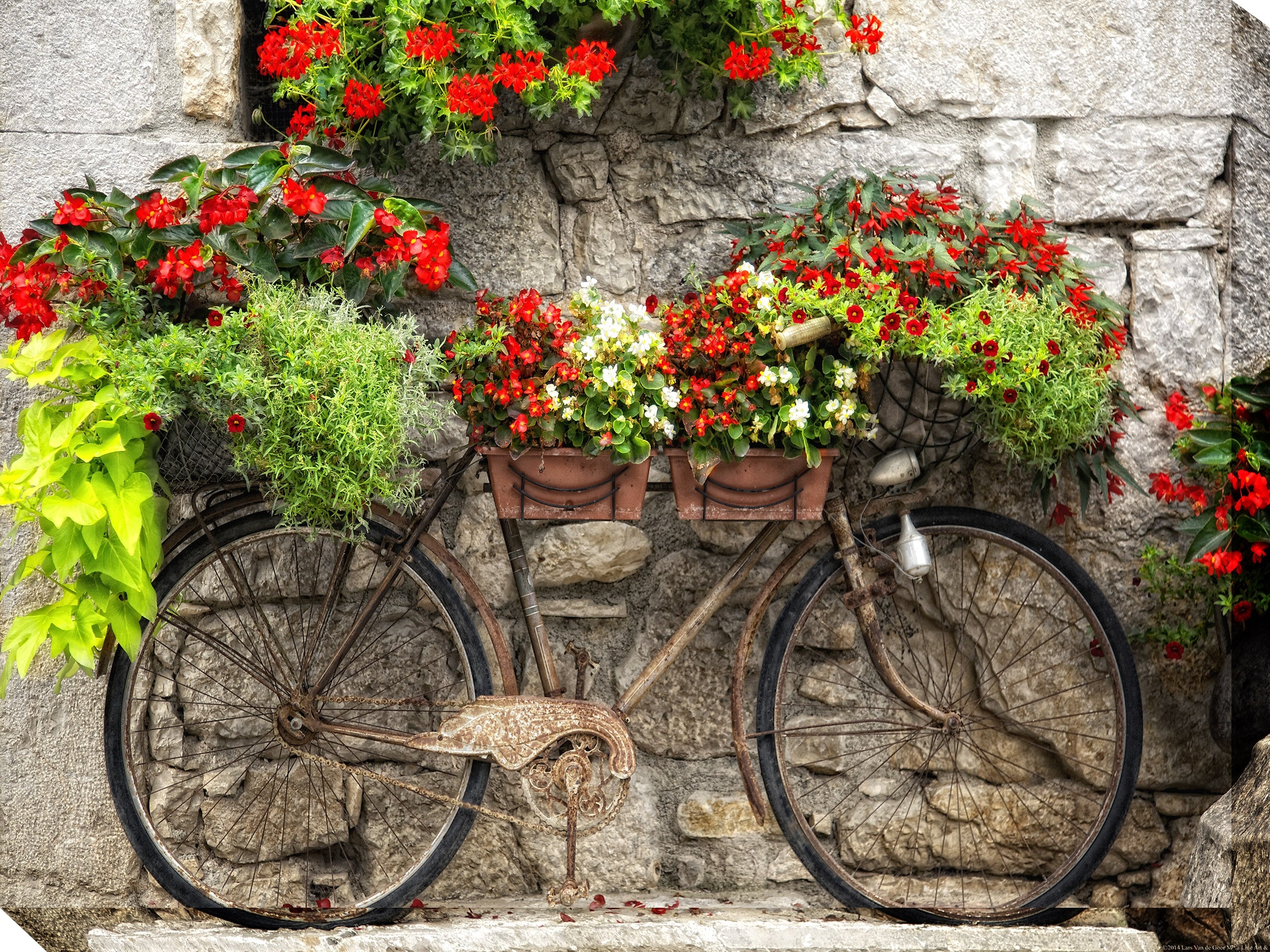 West of the Wind Outdoor 40"x30" Canvas Wall Art - Rusty Bicyclette