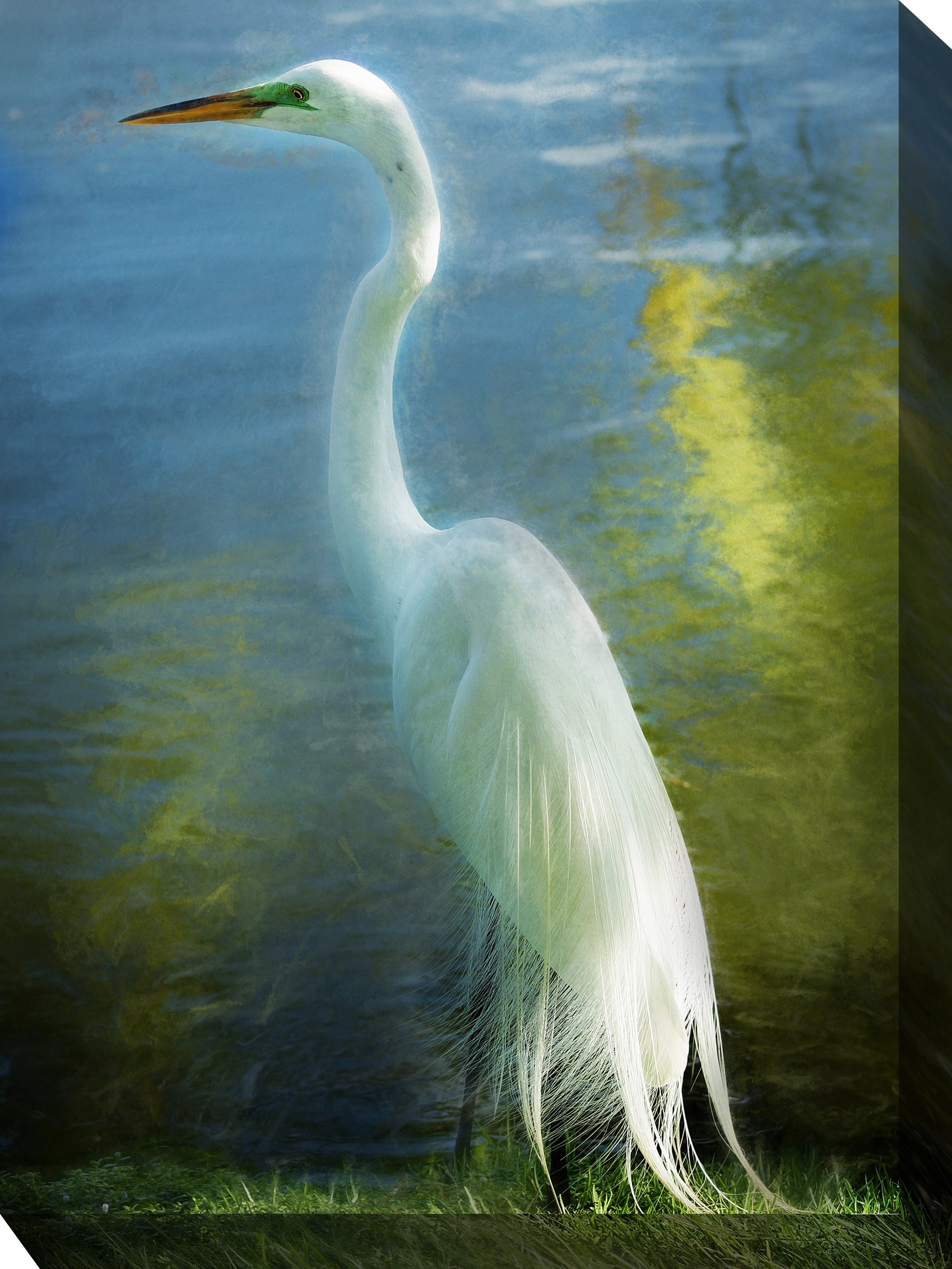 West of the Wind Outdoor Canvas 30”x40” Wall Art - Poised Patience