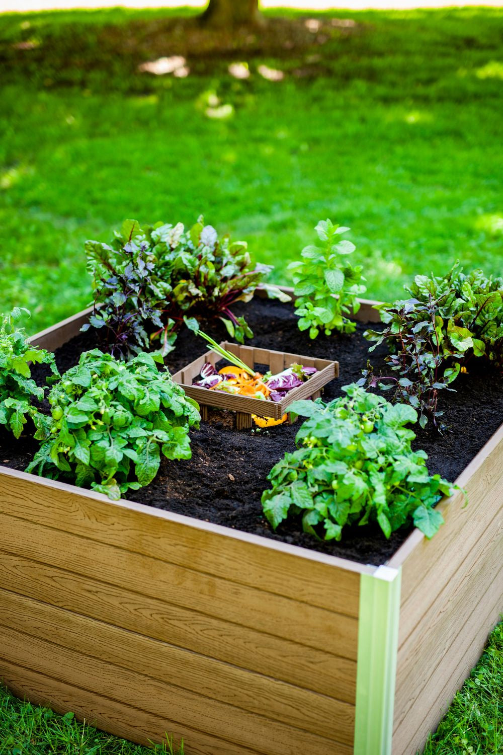 Vita Urbana 4'x4' Keyhole Espresso Composting Garden Bed